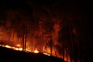 ARGENTINA - Córdoba wildfires